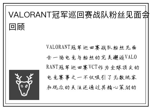 VALORANT冠军巡回赛战队粉丝见面会回顾