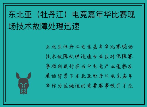 东北亚（牡丹江）电竞嘉年华比赛现场技术故障处理迅速